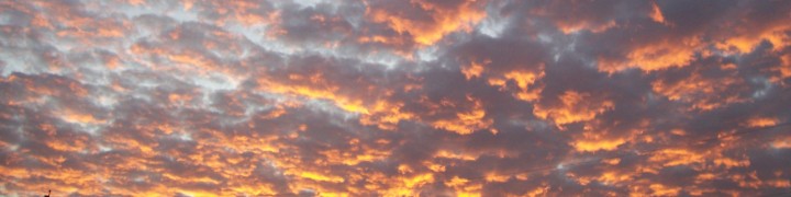 Header image